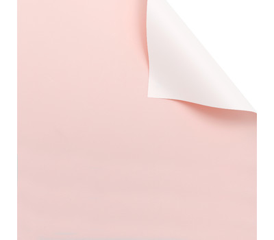 Пудровый пион